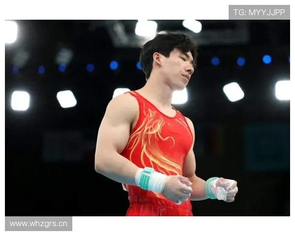 张博恒谈对体操精神的体会